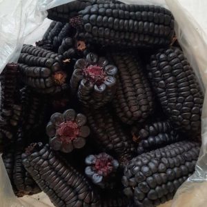 Maíz Morado Sabor y Sazón 5kg