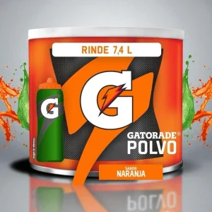 Polvo para Preparar Bebida Gatorade Sabor Ponche de Frutas 521 g